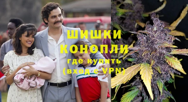 прущие крисы Алзамай